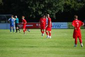 alb35_img3169.jpg