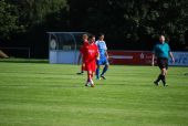 alb35_img3098.jpg